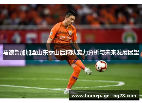 马德鲁加加盟山东泰山后球队实力分析与未来发展展望