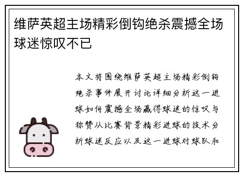 维萨英超主场精彩倒钩绝杀震撼全场球迷惊叹不已
